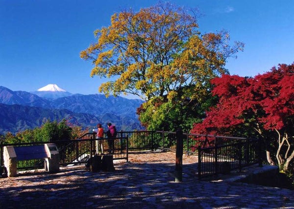 【高崎・本庄・籠原・熊谷・上尾・大宮駅発】 よみうり貸切列車で行く!秋の高尾山ハイキング ~混雑を避けてらくらくJR高尾まで直行列車♪~2